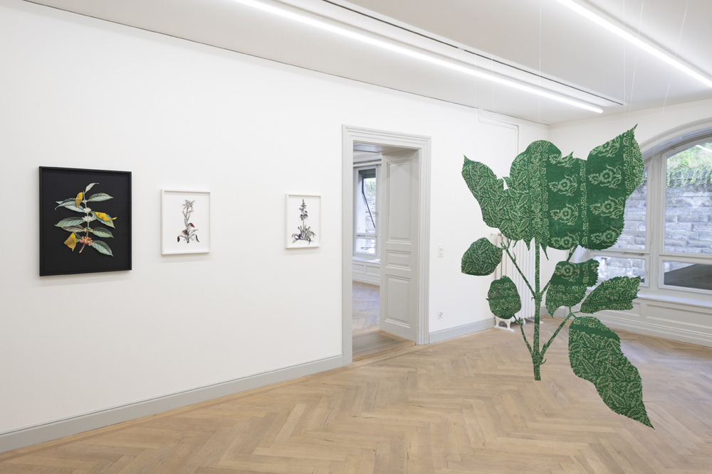 Ishita Chakraborty Galerie Peter Kilchmann 