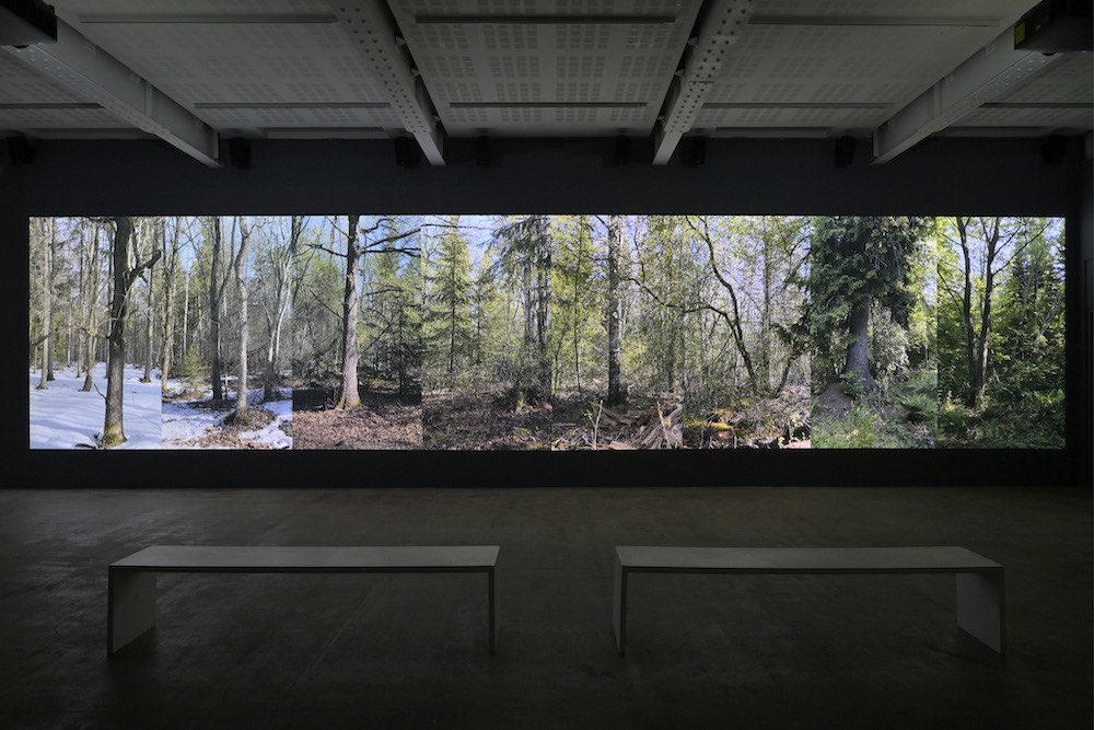 Eija-Liisa Ahtila Marian Goodman Gallery 