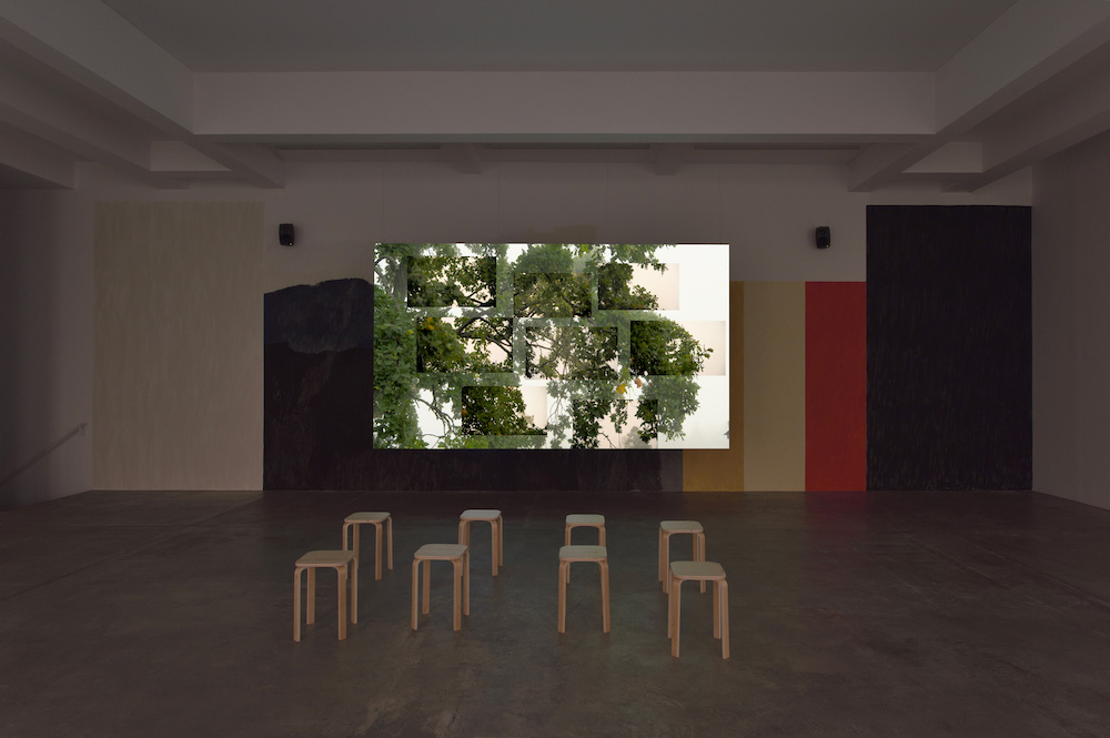 Eija-Liisa Ahtila Marian Goodman Gallery 