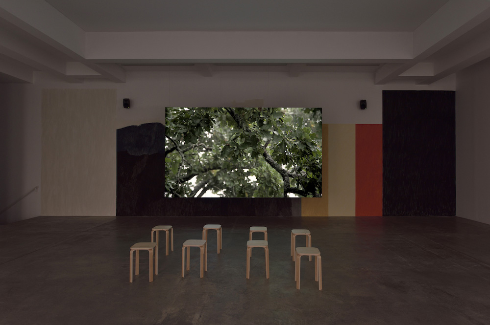 Eija-Liisa Ahtila Marian Goodman Gallery 