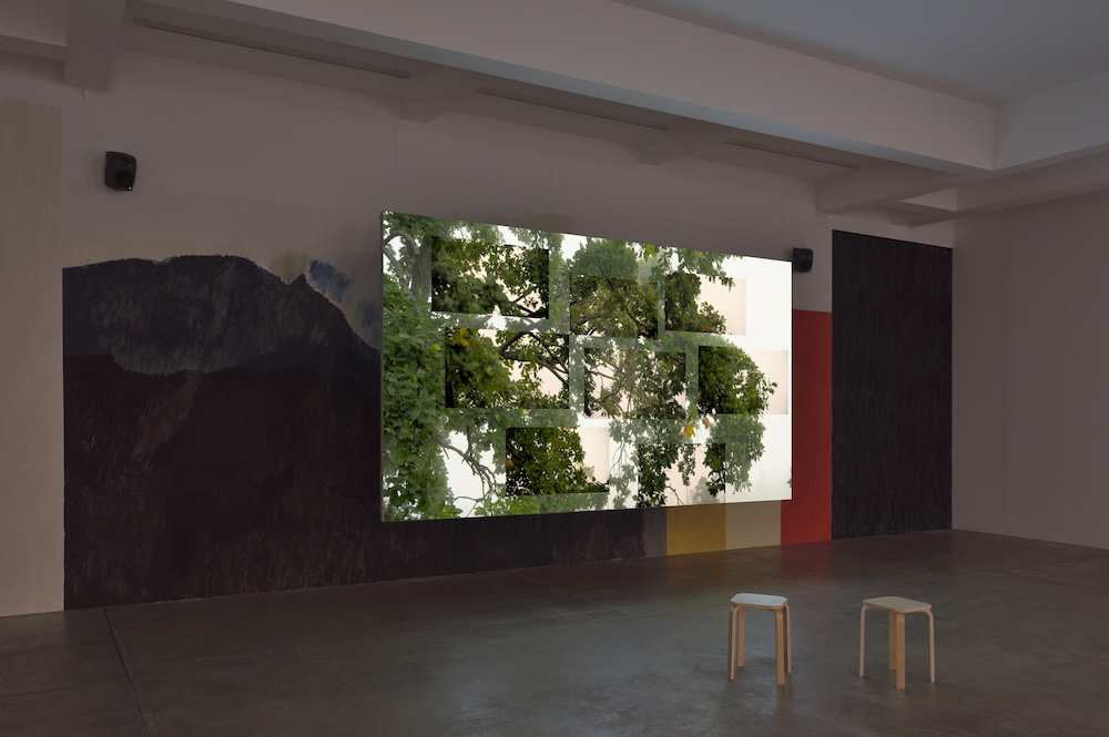 Eija-Liisa Ahtila Marian Goodman Gallery 