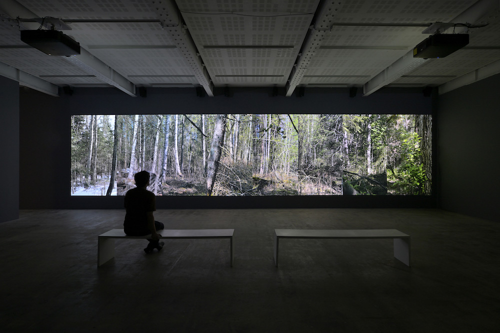 Eija-Liisa Ahtila Marian Goodman Gallery 