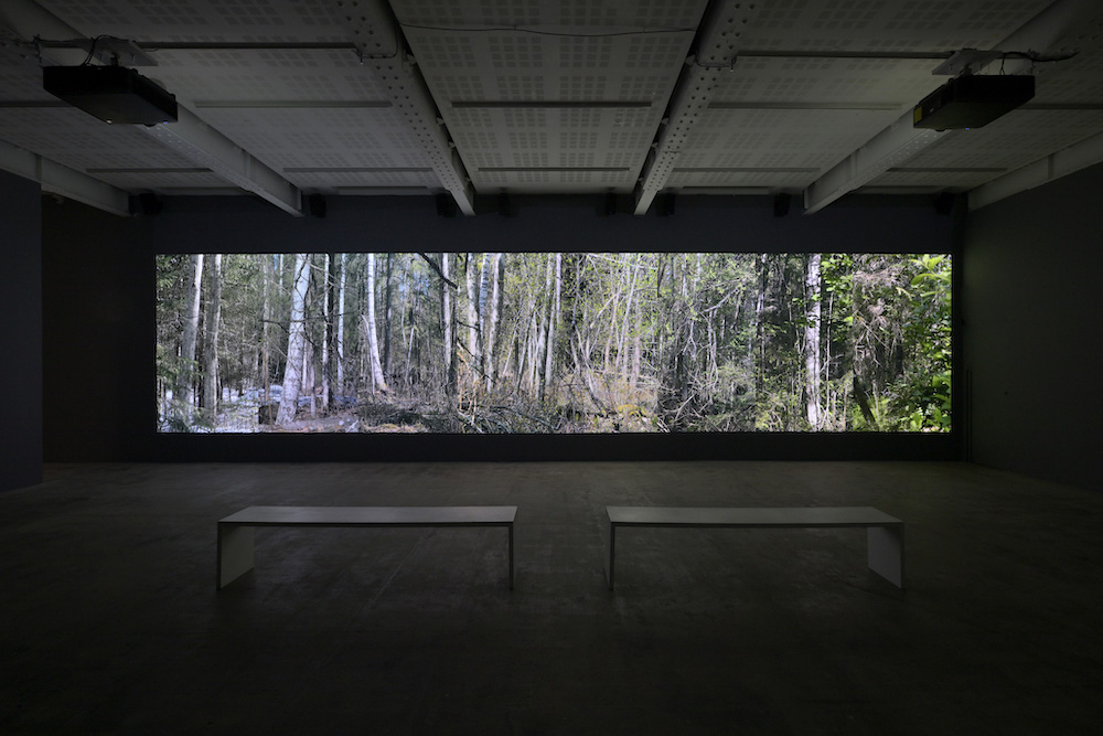 Eija-Liisa Ahtila Marian Goodman Gallery 