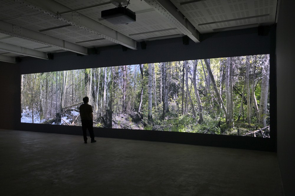 Eija-Liisa Ahtila Marian Goodman Gallery 