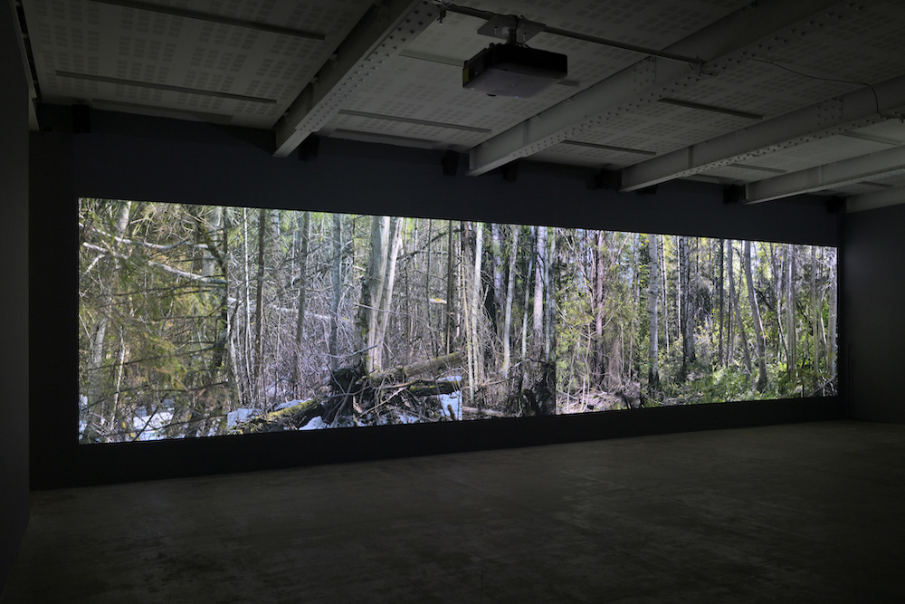 Eija-Liisa Ahtila Marian Goodman Gallery 