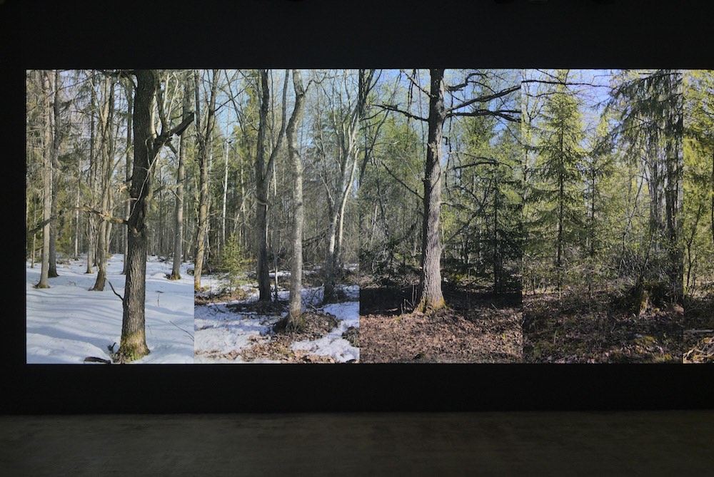 Eija-Liisa Ahtila Marian Goodman Gallery 