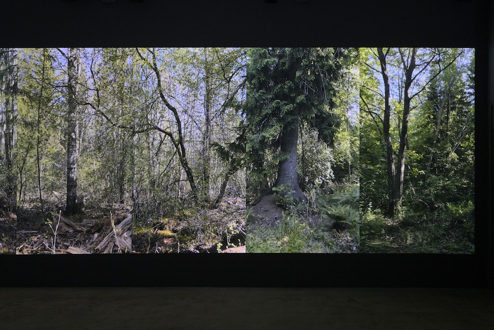 Eija-Liisa Ahtila Marian Goodman Gallery 