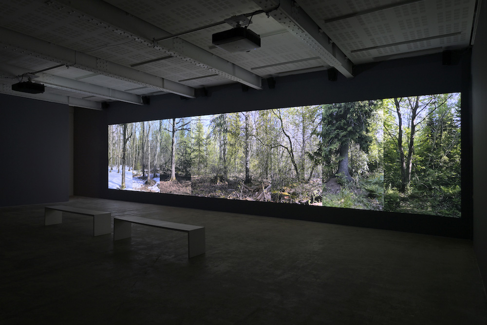 Eija-Liisa Ahtila Marian Goodman Gallery 