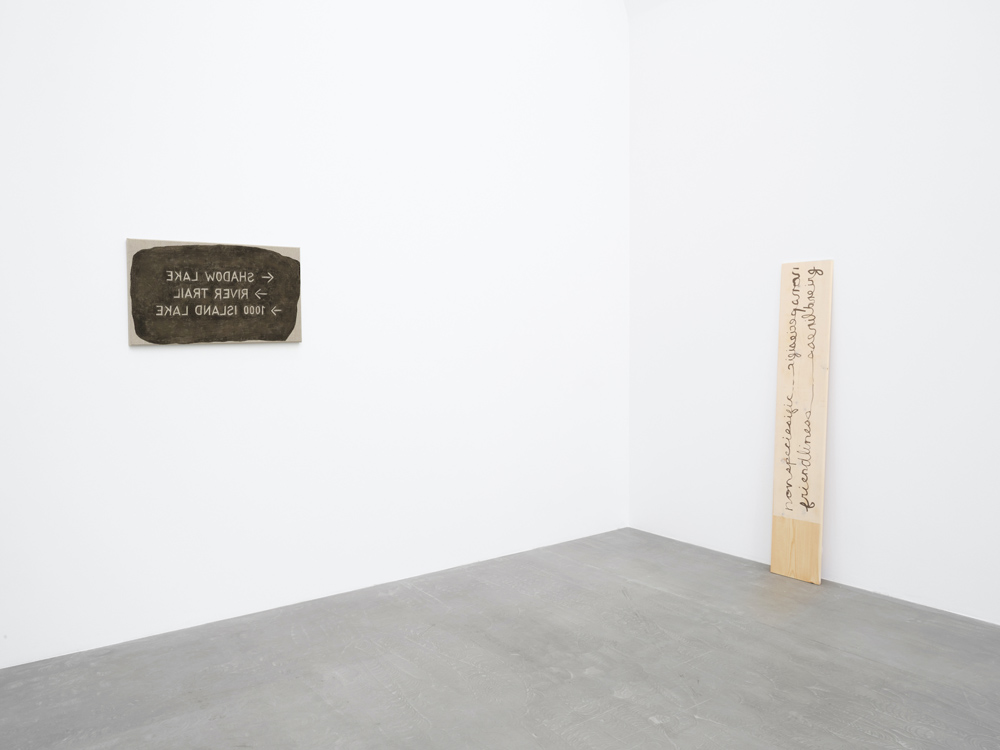 Hendl Helen Mirra Galerie Nordenhake 