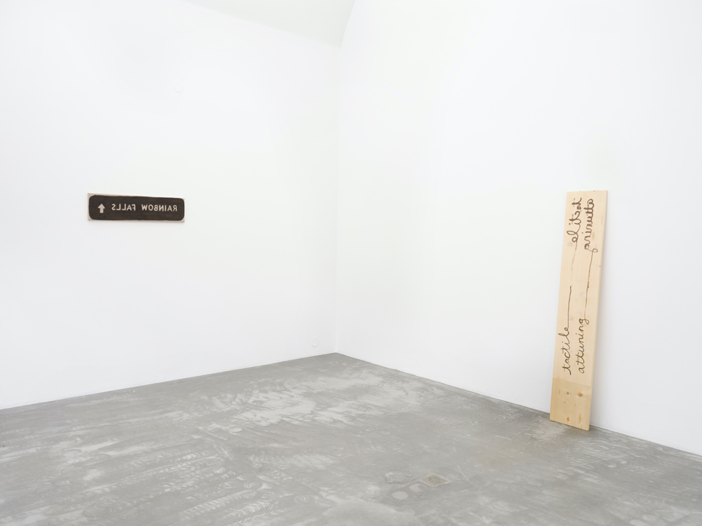 Hendl Helen Mirra Galerie Nordenhake 