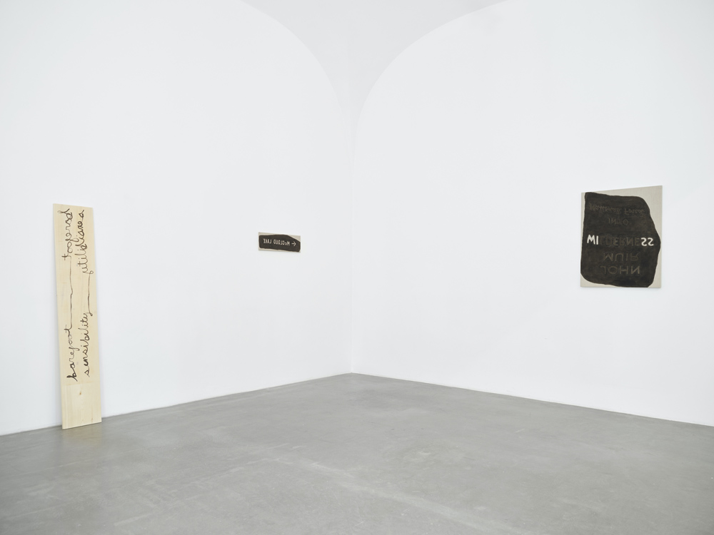 Hendl Helen Mirra Galerie Nordenhake 