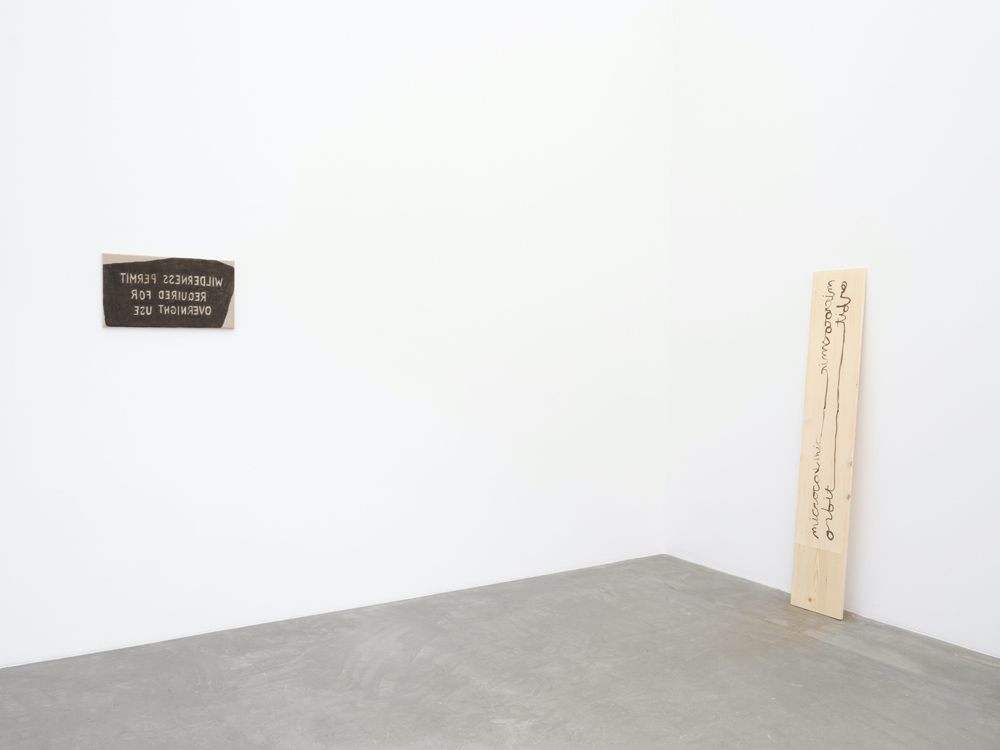 Hendl Helen Mirra Galerie Nordenhake 