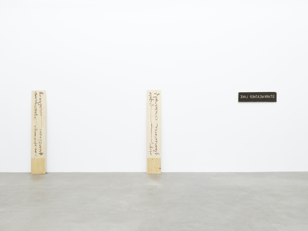 Hendl Helen Mirra Galerie Nordenhake 