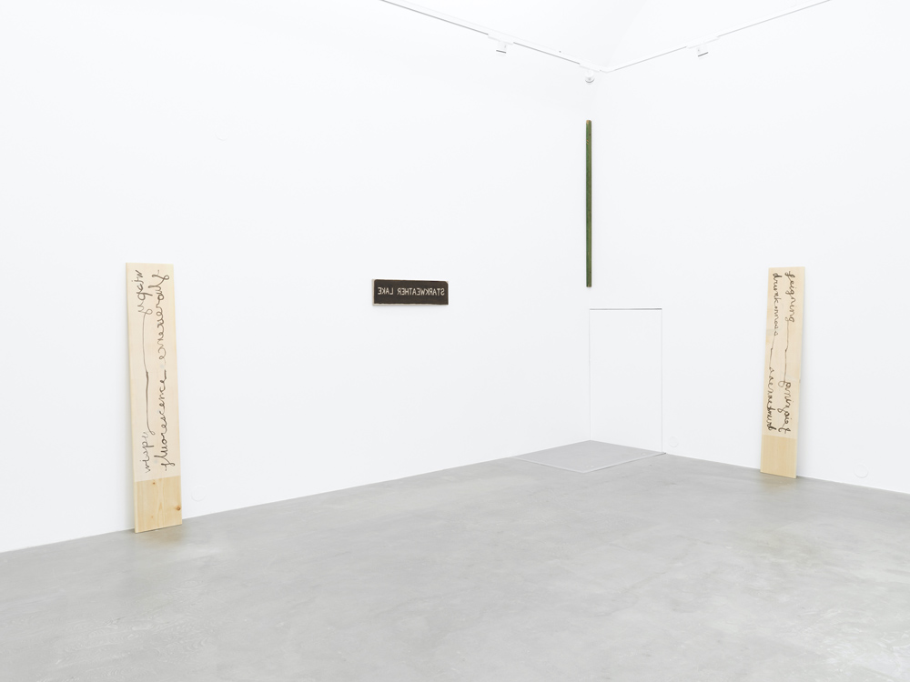 Hendl Helen Mirra Galerie Nordenhake 