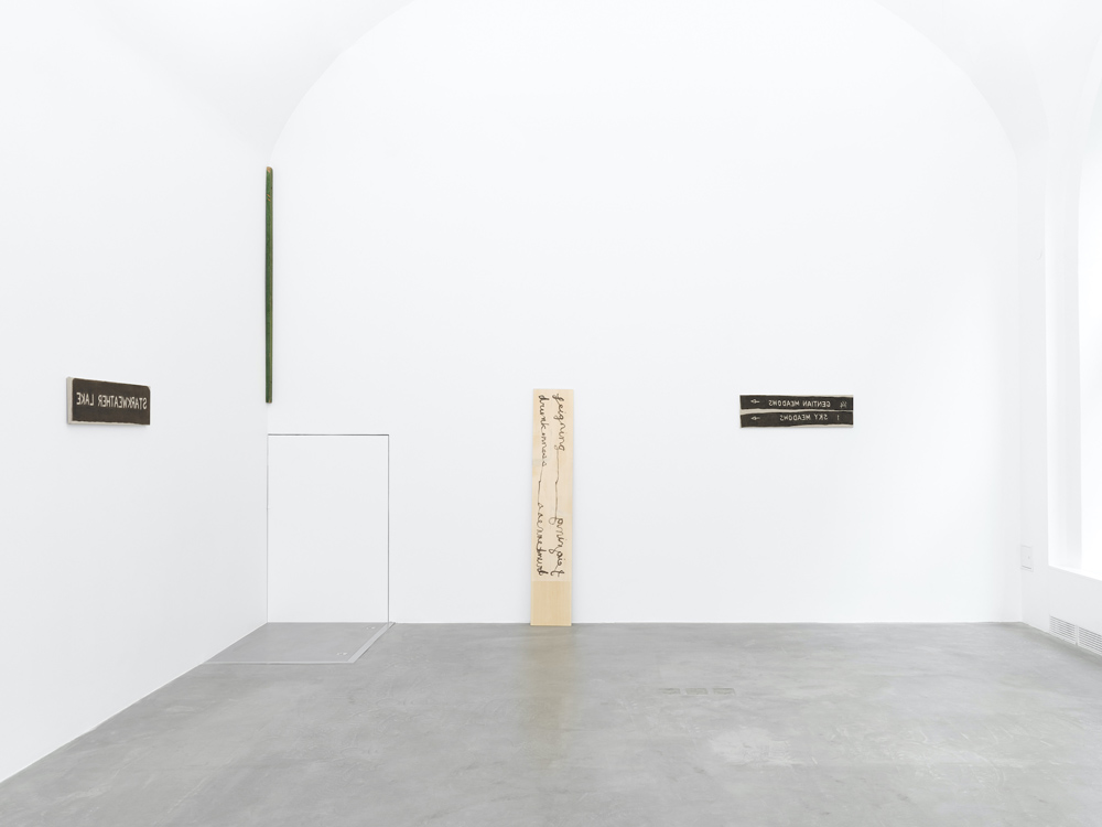 Hendl Helen Mirra Galerie Nordenhake 