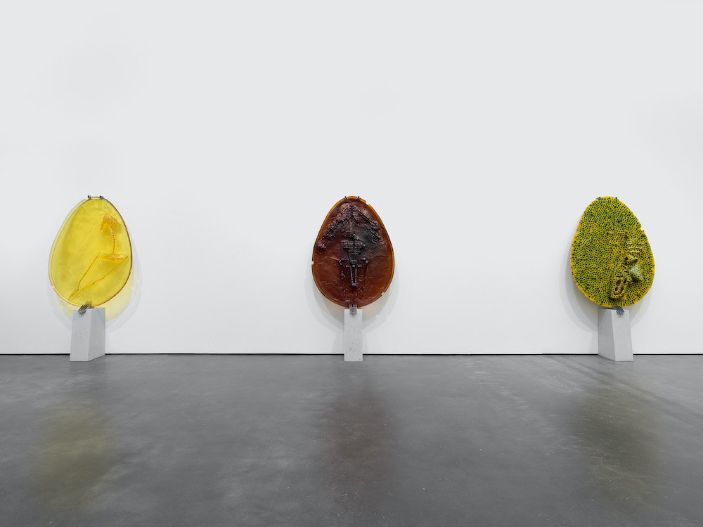 Andra Ursuța David Zwirner 