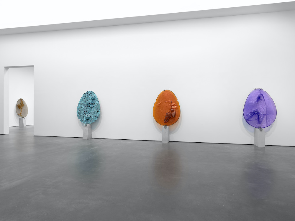 Andra Ursuța David Zwirner 