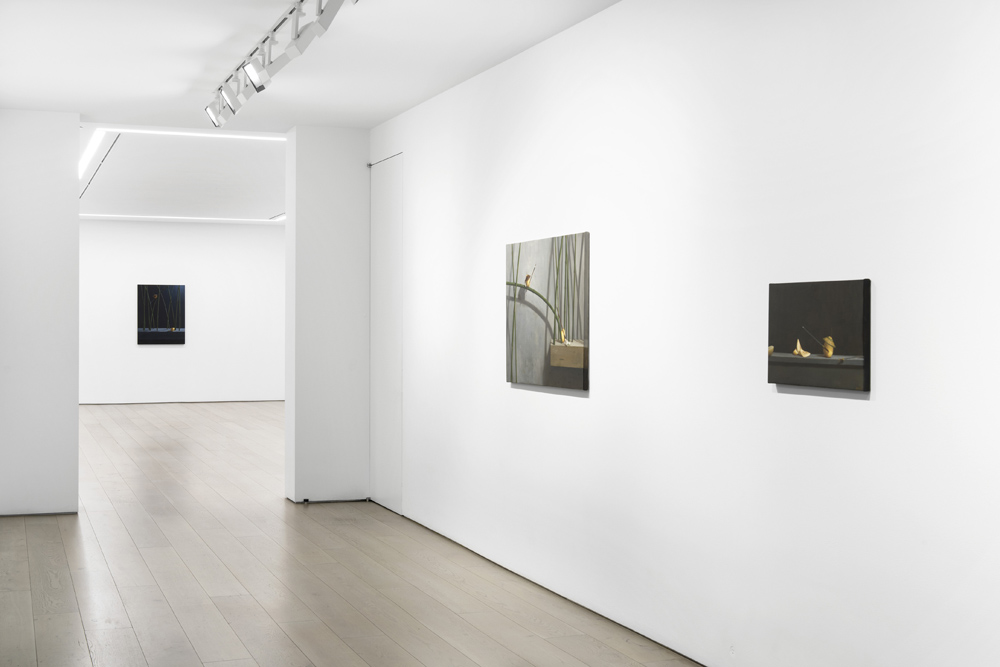 Chang Ya Chin Perrotin 