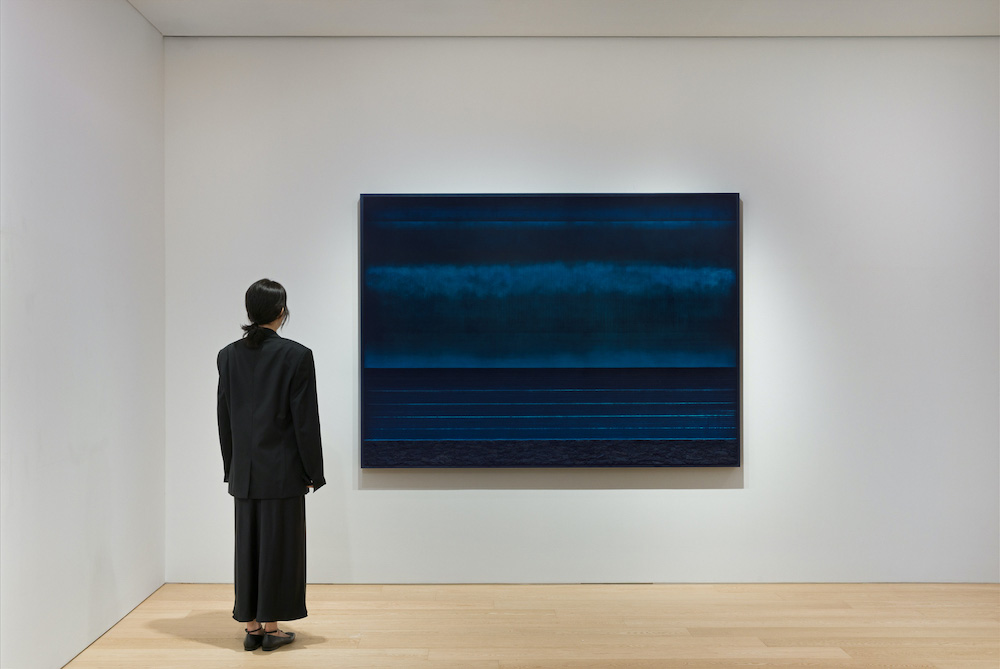 Teresita Fernández Lehmann Maupin 