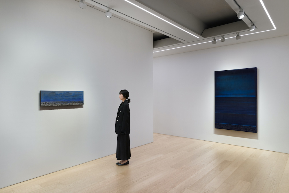 Teresita Fernández Lehmann Maupin 