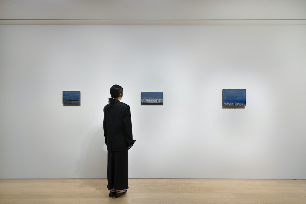 Teresita Fernández Lehmann Maupin 