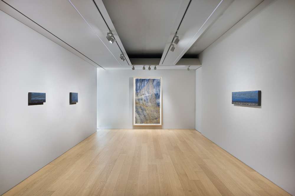 Teresita Fernández Lehmann Maupin 