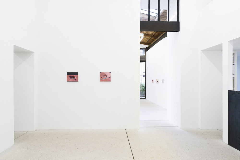 Mikael Lo Presti galerie frank elbaz 