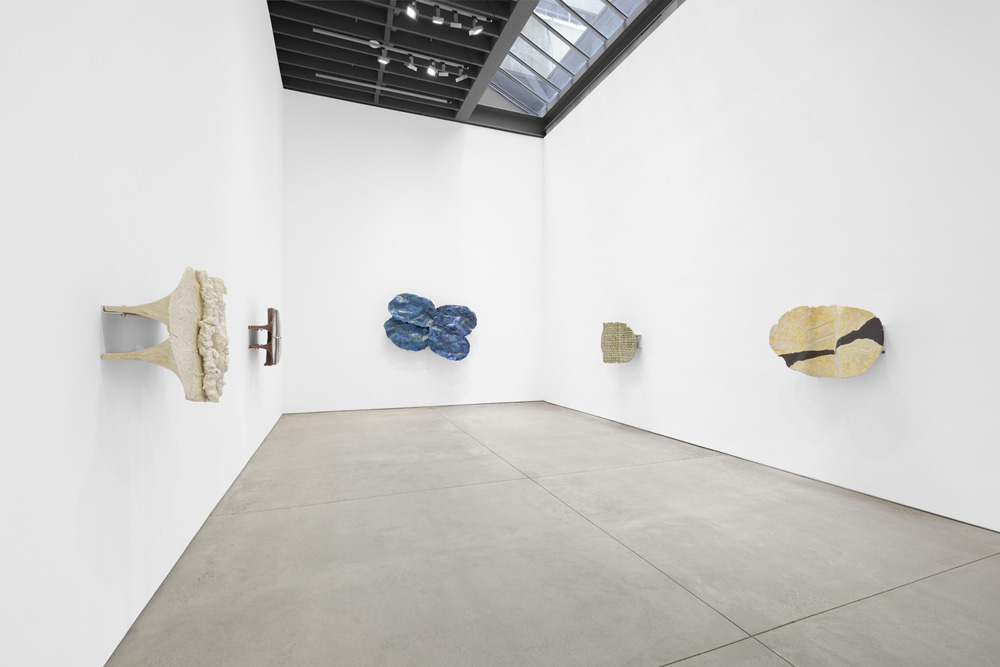 Liz Larner Anton Kern Gallery 