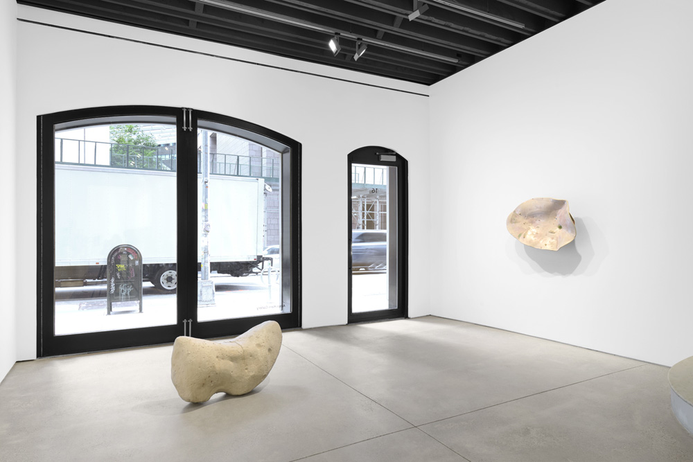 Liz Larner Anton Kern Gallery 