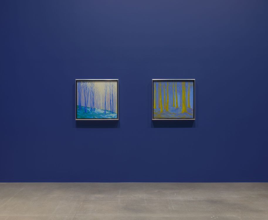 Nicolas Party Hauser & Wirth 