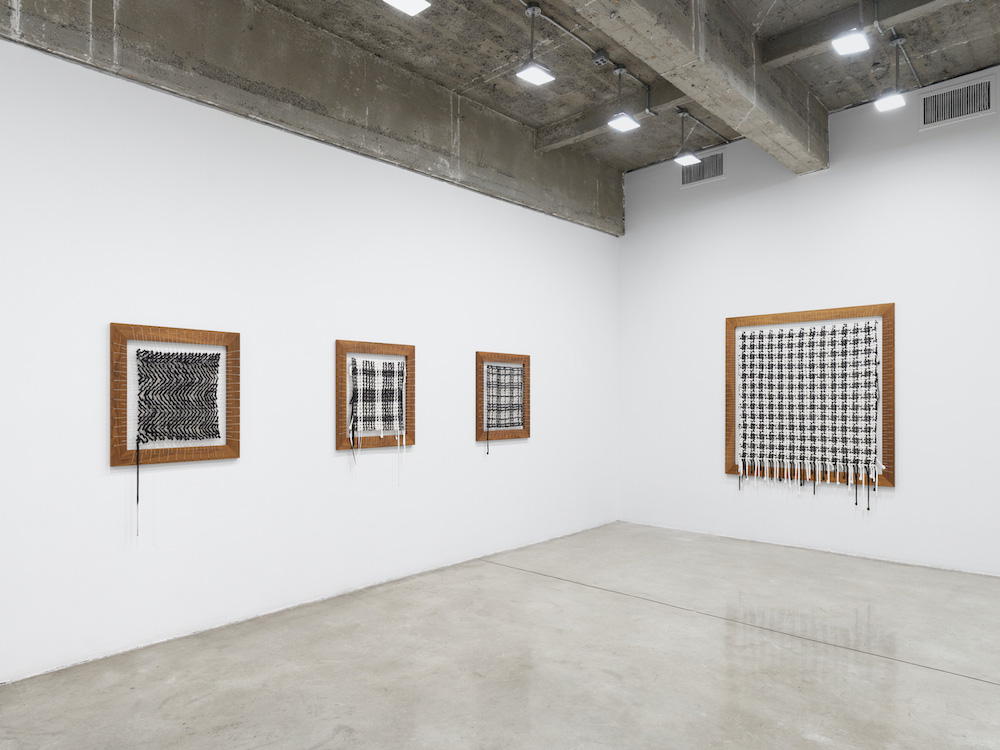 Analia Saban Tanya Bonakdar Gallery 