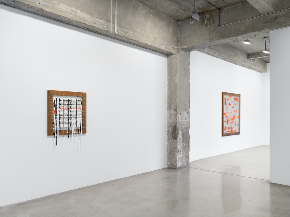 Analia Saban Tanya Bonakdar Gallery 