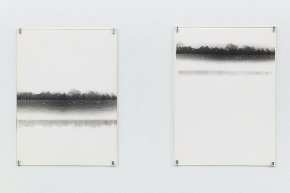 Alix Cléo Roubaud Galerie Buchholz 