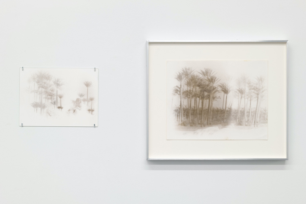 Alix Cléo Roubaud Galerie Buchholz 