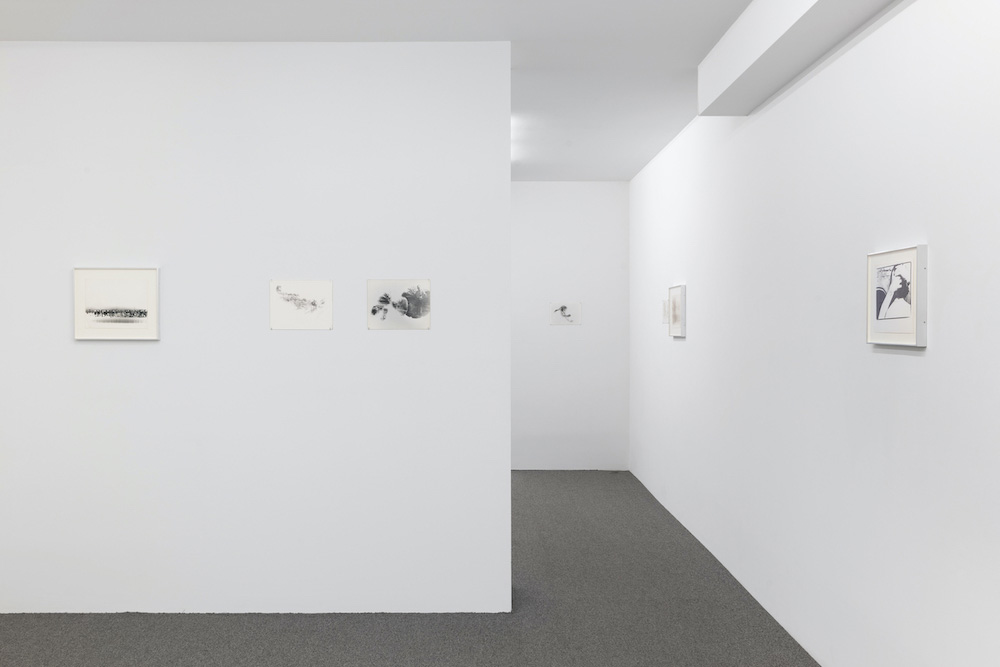 Alix Cléo Roubaud Galerie Buchholz 