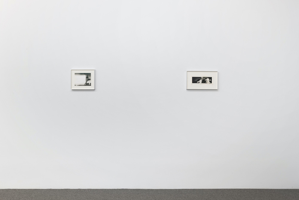 Alix Cléo Roubaud Galerie Buchholz 