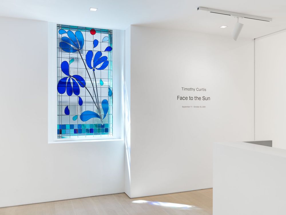 Timothy Curtis Almine Rech 