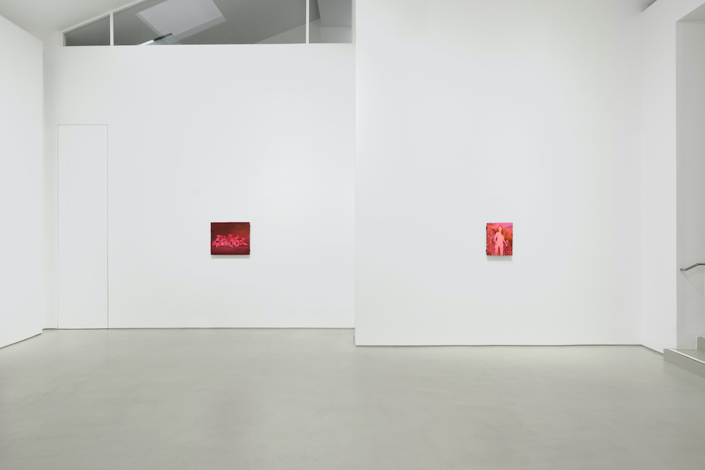 Tursic & Mille Galerie Max Hetzler 