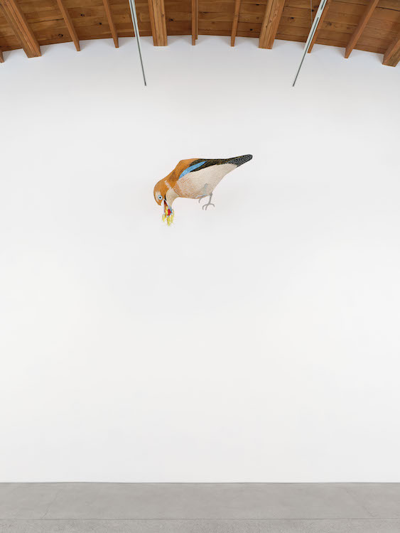 Roberto Benavidez Perrotin 