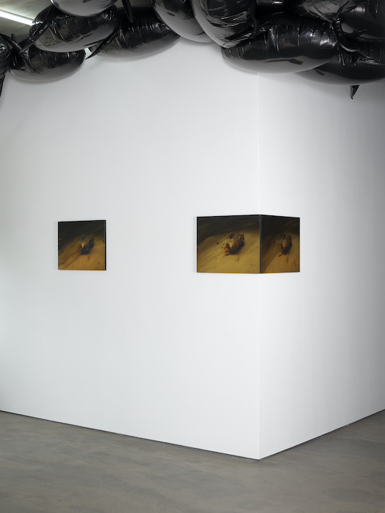 Philippe Parreno Andersen’s 