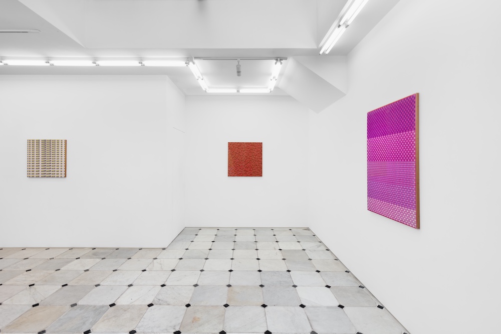 Lucia Di Luciano Herald St 