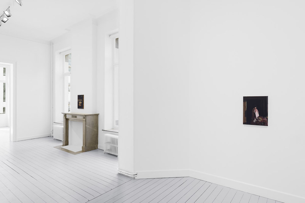 Nicholas Bierk Gladstone Gallery 