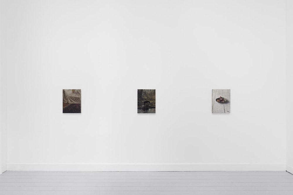 Nicholas Bierk Gladstone Gallery 