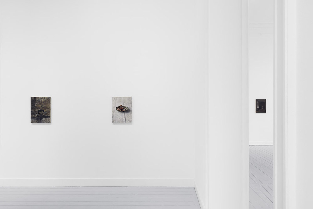 Nicholas Bierk Gladstone Gallery 