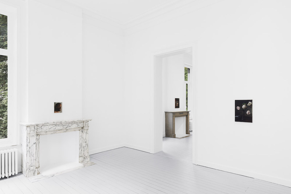 Nicholas Bierk Gladstone Gallery 