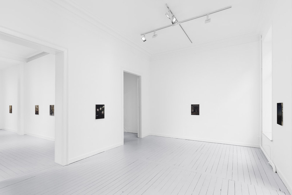 Nicholas Bierk Gladstone Gallery 