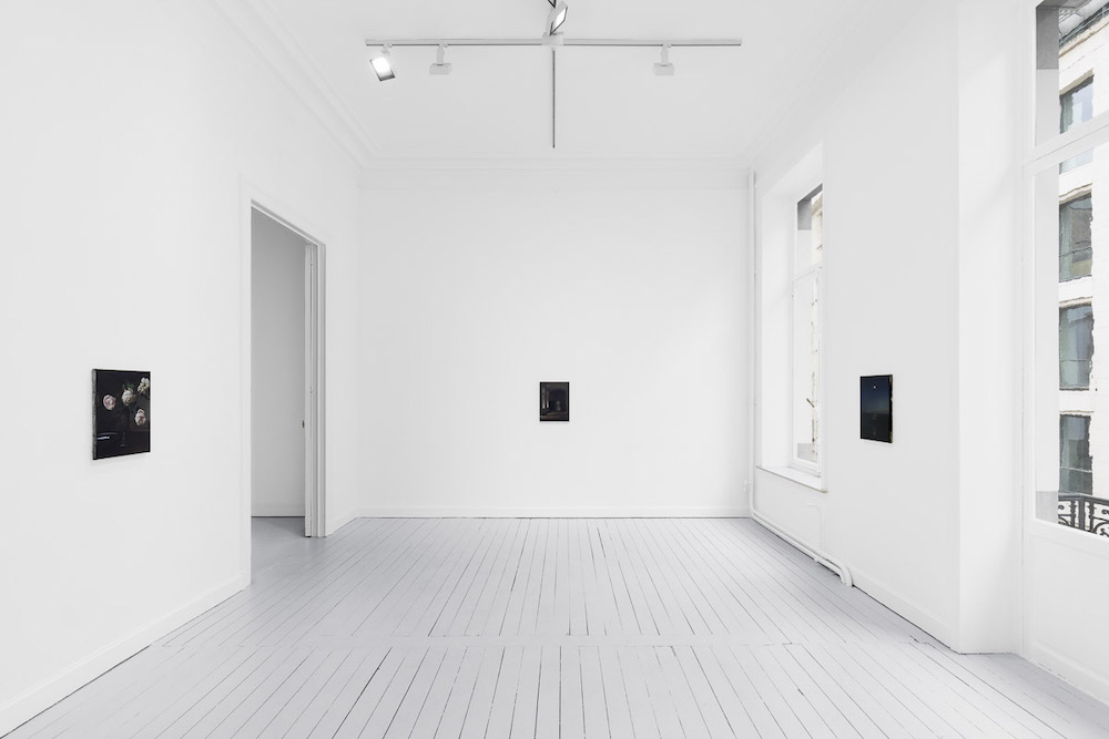 Nicholas Bierk Gladstone Gallery 