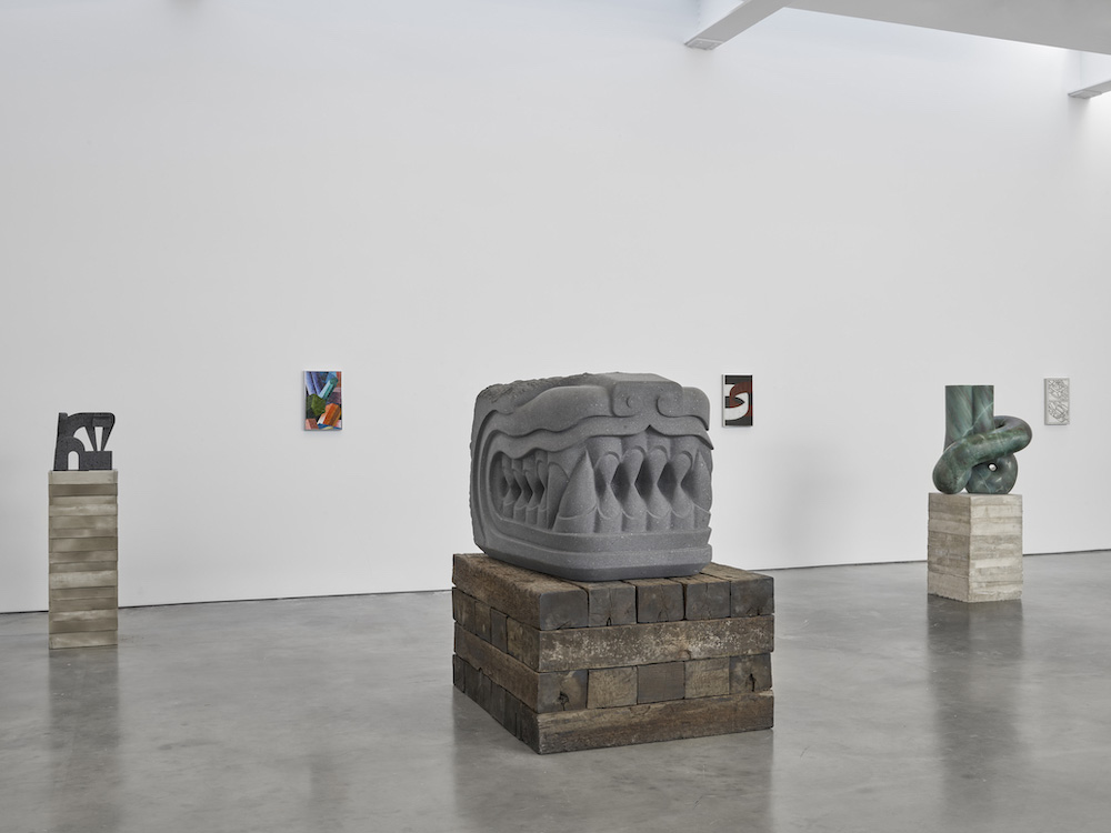 Pedro Reyes Lisson Gallery 