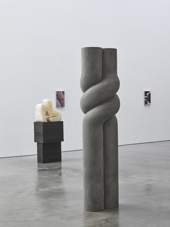 Pedro Reyes Lisson Gallery 