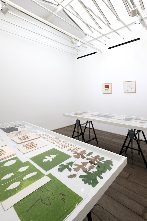 Blaise Drummond Loevenbruck 